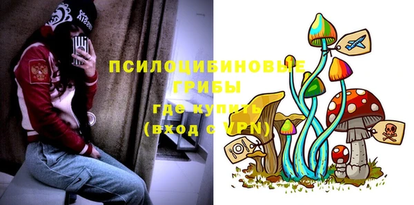 MDMA Premium VHQ Беломорск