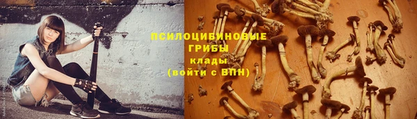 MDMA Premium VHQ Беломорск