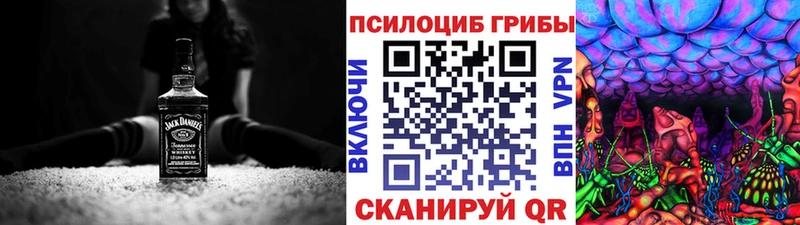 Галлюциногенные грибы Psilocybine cubensis  Верхнеуральск 